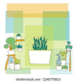 some flower pots with abstract background and snake plant in the middle.  ready to accompany your day, for your content needs.