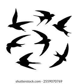 some flying swallow silhouette collection