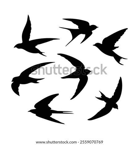 Similar – Image, Stock Photo Swallow swallow