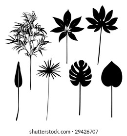 Some good leaf illustration