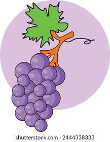 Some grape fruit vector art, Hand drawn grape vine  illustration , grape color is purple , it's background is purple color, background is round, it's leaf is green and black  Flat design illustration,