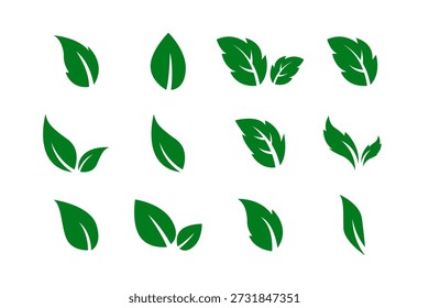 some gree leaves icon pack vector