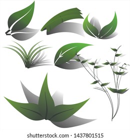 some green leaf for your editing purposes