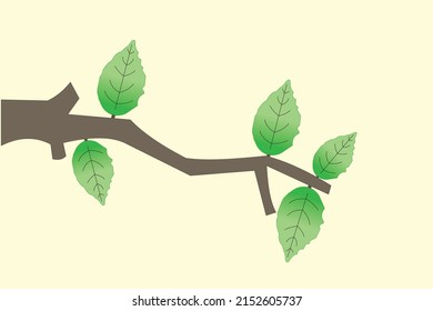 SOME GREEN LEAVES ON TREES. VECTOR TEMLATES