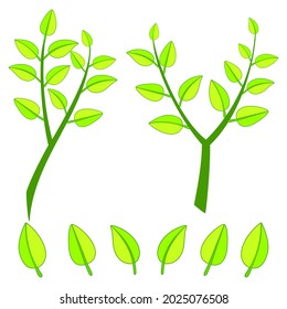 Some illustrations of green leaf stalks can be combined with a nature-themed design, or as a background