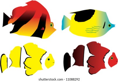 Some isolated tropical fish