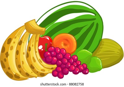 some kinds of fruits in the same image, all of them are in vector