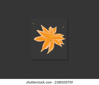 Some leaf plants growing with twinkling stars, Leaf Vector