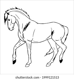 Some line art pictures of horses for color