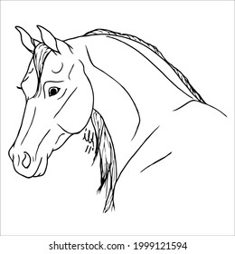 Some line art pictures of horses for color