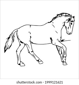 Some line art pictures of horses for color