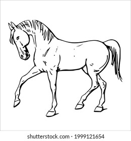 Some line art pictures of horses for color