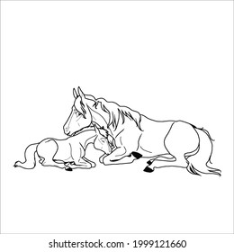 Some line art pictures of horses for color