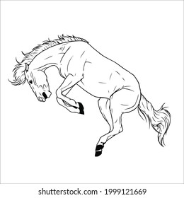 Some line art pictures of horses for color