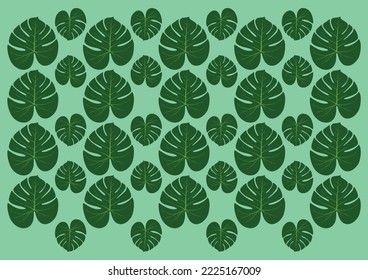 some palm green leaves background