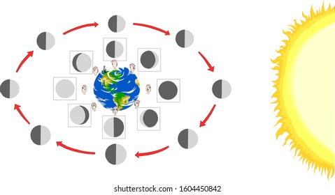 Some phases of the Moon