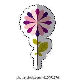 some pink flower with petals and leaf icon, vector illustraction design