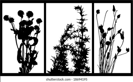some plants