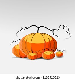 some pumpkin illustration