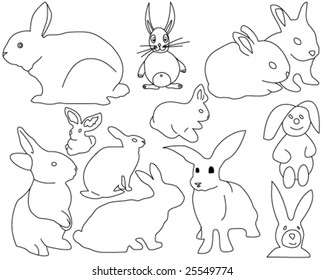 Some rabbits on white background - Vector