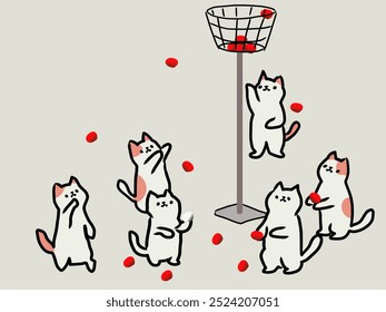 Por alguna razón, dos gatos blancos entraron al equipo de pelota roja, pero continuaron. Pusieron tres bolas. El resultado fue de tres bolas rojas y diez blancas, por lo que el equipo blanco ganó.
