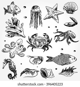 Some Sea Animals Hand Drawn