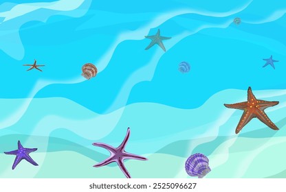 some shells and starfish on the beach