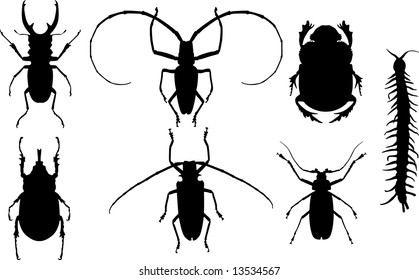 Some silhouettes of different bugs