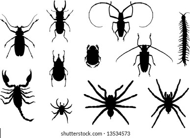 Some silhouettes of different insects