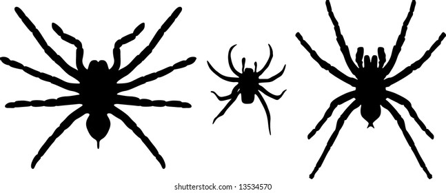 Some silhouettes of different spiders