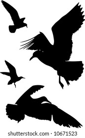 Some silhouettes of seagulls flying