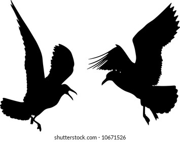 Some silhouettes of seagulls flying