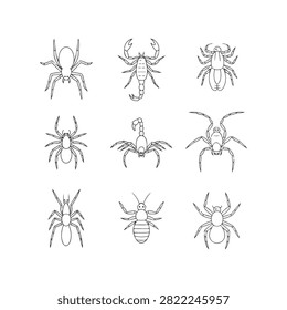 some spider are victor here