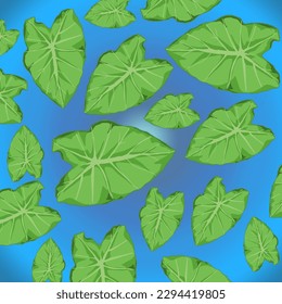 some taro leaves on a blue background