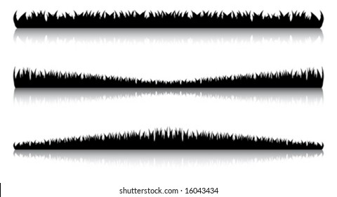 Some variants of an illustration with the image of a grass about water at night