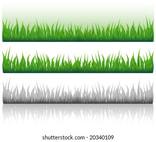 Some variants of an illustration with the image of a grass