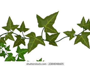 some vine leaves, no background