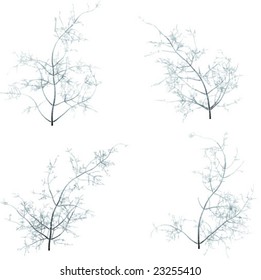 Some winter tree's - Vector --- Please see my another plants of my collection