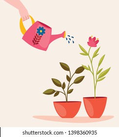 Someone is watering home plants in pots. Cute vector cartoon illustration.