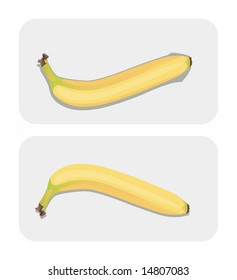 Sometimes a banana IS NOT just a banana. Color vector drawing of a single banana.