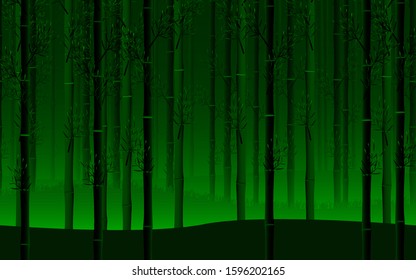 Somewhere in deep bamboo forest. Beautiful asian bamboo forest. Beautiful green nature.