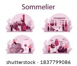 Sommelier concept set. Specialist with a bottle of grape wine and glass full of alcohol drink. Grape wine in a wood barrel, wine storage. Isolated vector illustration