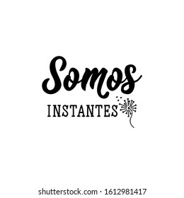 Somos instantes. Lettering. Translation from Spanish - We are moments. Modern vector brush calligraphy. Ink illustration. 