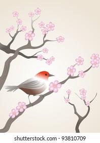 sonbird