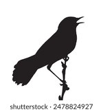 Song bird on the branch. Vector silhouette	