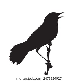 Song bird on the branch. Vector silhouette	