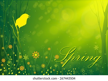 The song of nightingale song in spring