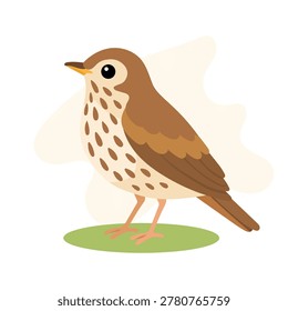 Song thrush in minimal flat vector style, song thrush isolated with warm natural shapes for trendy wildlife illustration art