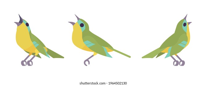 Songbird green and yellow set, beautiful singing little musical birds. Wildlife study, ornithology, birdwatching. Vector flat style cartoon illustration isolated on white background, different views