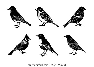 Songbird Silhouettes Collection – European Starling, Northern Cardinal, House Sparrow, American Robin, Indigo Bunting, Eastern Bluebird